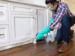 Best Pest Control for Multi-Family Homes  in Lavallette, NJ